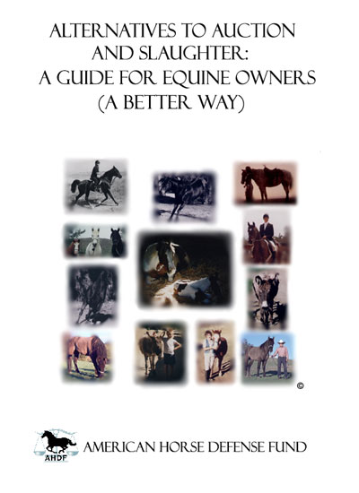 Cover of American Horse Defense Fund book by Barbara Anne Dunn